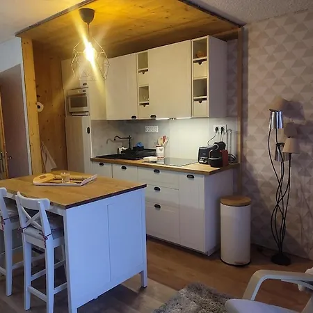 Studio 4-6 Couchages.Pied Des Pistes.Residence Montana1 Les Deux Alpes Exterior photo