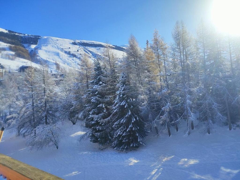 4-6 Couchages.pied Des Pistes.residence Montana1 Apartment